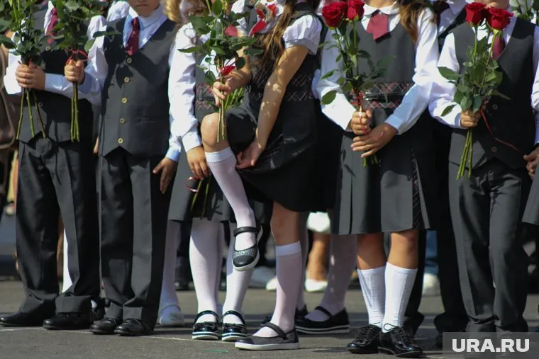 Ребенок самостоятельно сможет выбрать, какие лекции ему интереснее слушать, сказал Гаджимет Сафаралиев