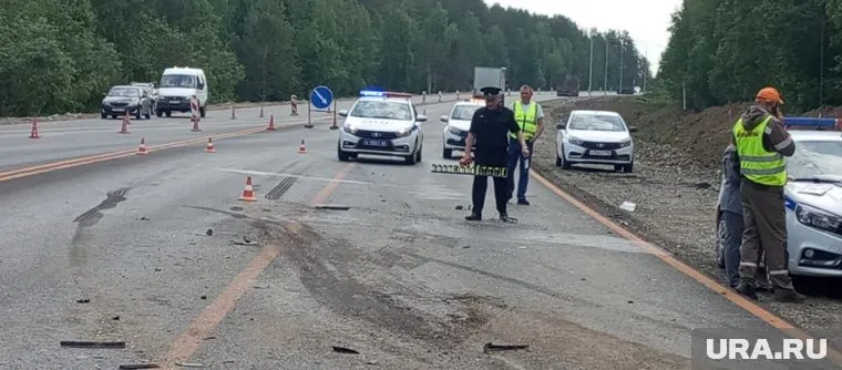 Силовики организовали проверку