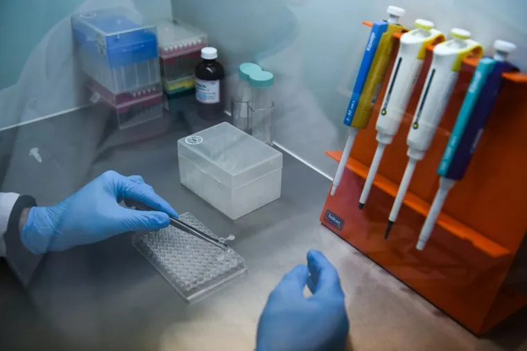 Работа лаборатории на кафедре экспериментальной биологии и биотехнологий УрФУ. Екатеринбург