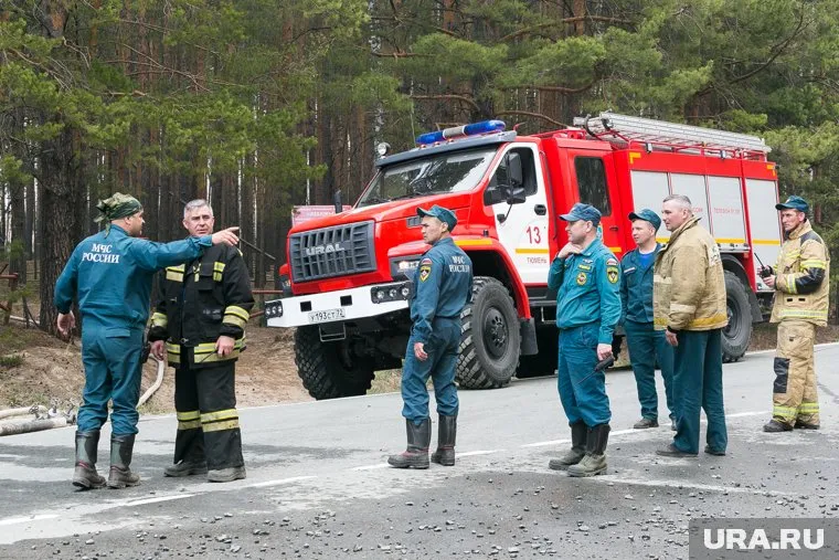 В поселке Безречный загорелся лес, затем огонь перекинулся на жилые дома