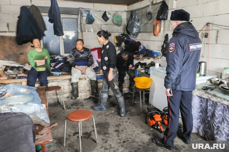 Мигранты были прописаны в квартире челябинки, но не проживали в ней