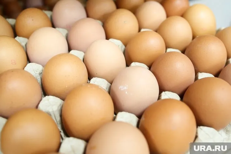 Людям с панкреатитом, повышенным холестерином и аллергикам следует отказаться от яиц