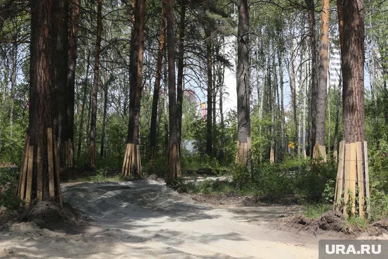 На строительство новой зеленой зоны заложили около 800 миллионов рублей