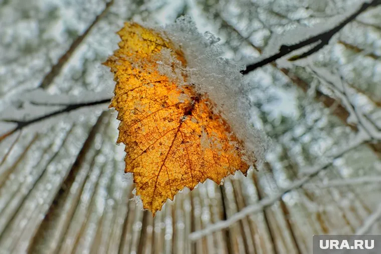 В Кургане ожидается похолодание до -10 градусов