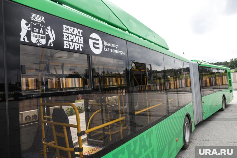 В новых автобусах вместительность будет до 115 человек