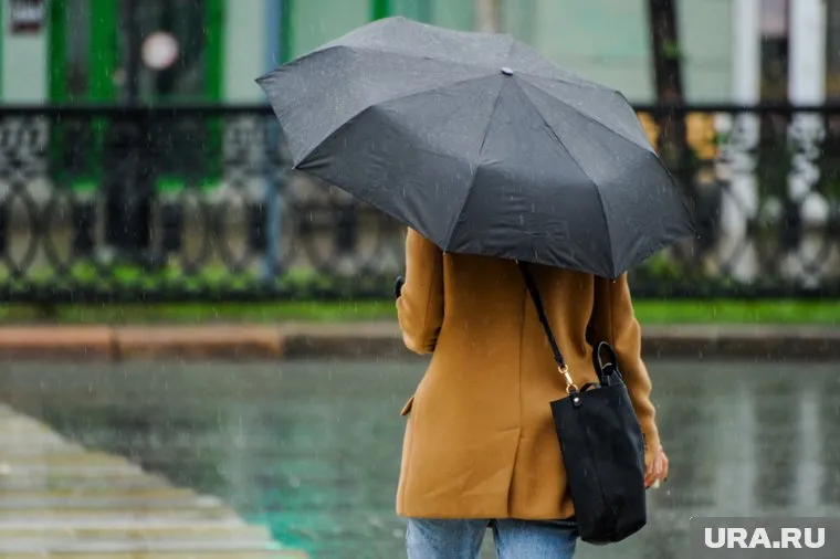 За день в Москве может выпасть до 70% месячной нормы осадков, сообщил Евгений Тишковец