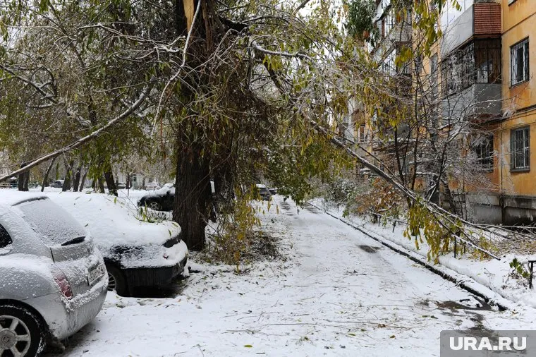 Контрольные выезды проведут по обращениям граждан