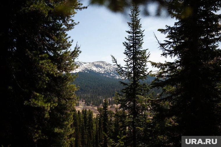 «Я прямо предвкушаю»: стало известно, как семья Усольцевых собиралась в роковой поход в «место силы»