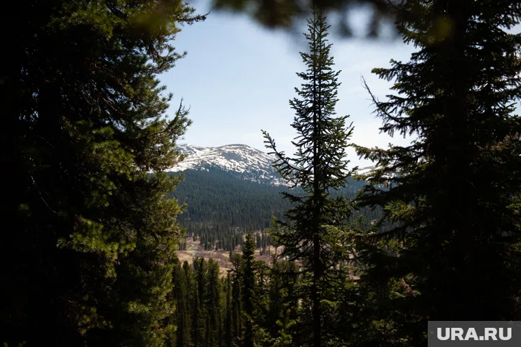 Семья Усольцевых собиралась в поход за несколько дней