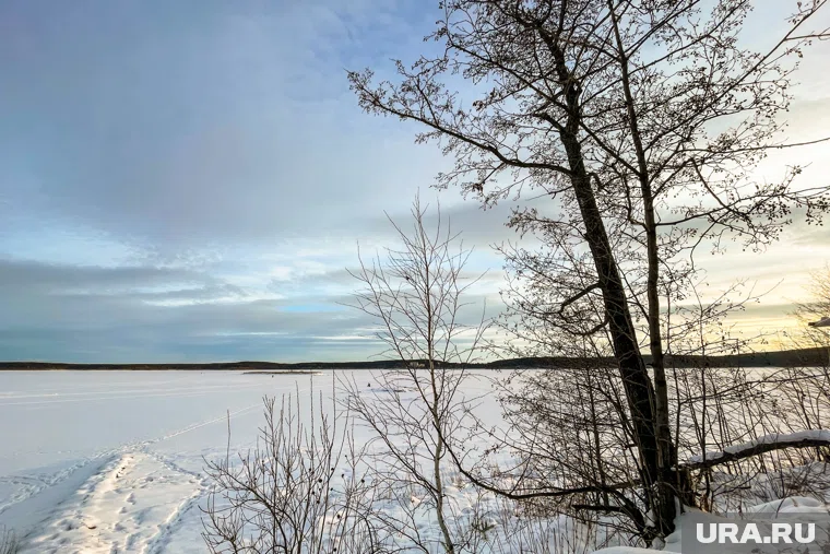 "Ледяные цветы" появляются на тонком льду при низких температурах