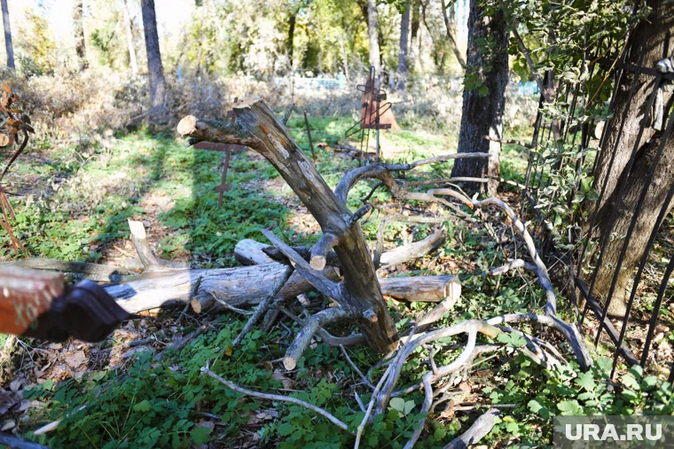 Дочь ветерана Копылова просит привести кладбище в порядок (архивное фото) 