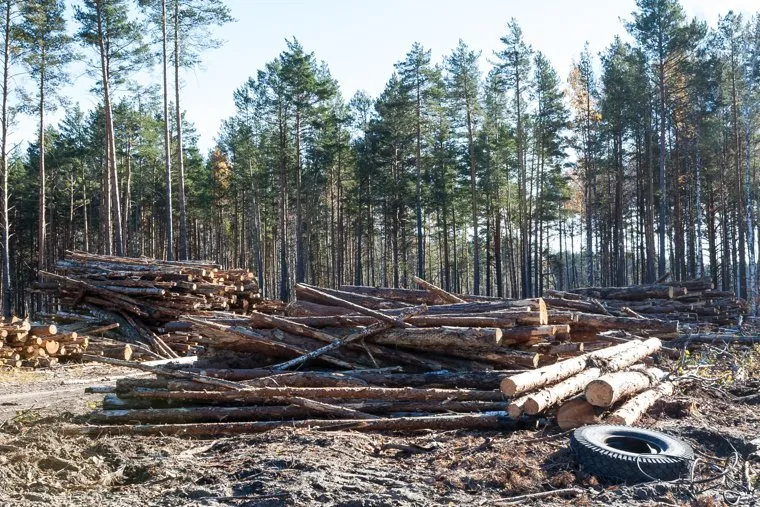 Червишевское кладбище. Тюмень