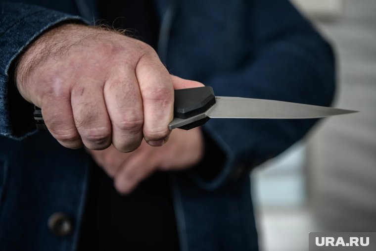 Расчлененка и подготовка к вечеринке: в чем признались подозреваемые в убийстве криптомошенника Романа Но...