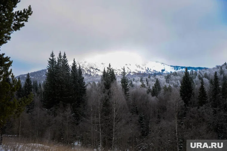 Зимняя граница в нацпарке прошла по горным вершинам