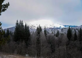 Отсутствие снега зимой заставило выживать обитателей челябинского нацпарка