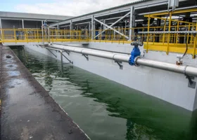 Фотография из галереи