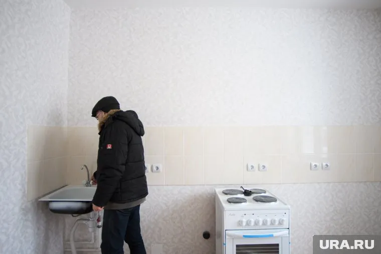 Жители Ноябрьска находят гнезда муравьев в своих домах