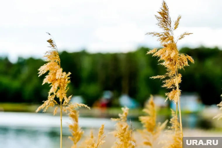 Тело Махфузахон Исмоиловой нашли в карьере в Шабровском (архивное фото)
