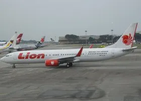 На месте крушения Boeing в Индонезии найдены останки 10 погибших