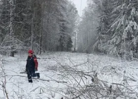 Тысячи свердловчан сидят без света из-за снегопадов
