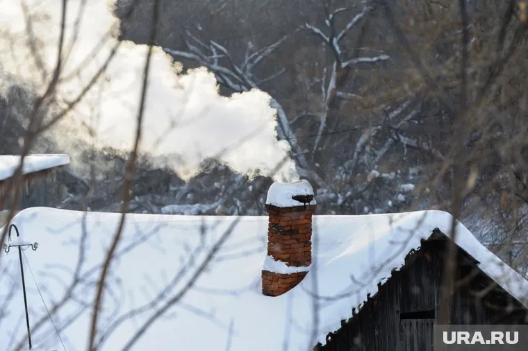 Найденные кости могут принадлежать животному, сообщает источник