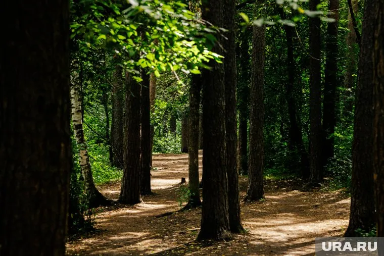 Вероятная причина смерти — переохлаждение 