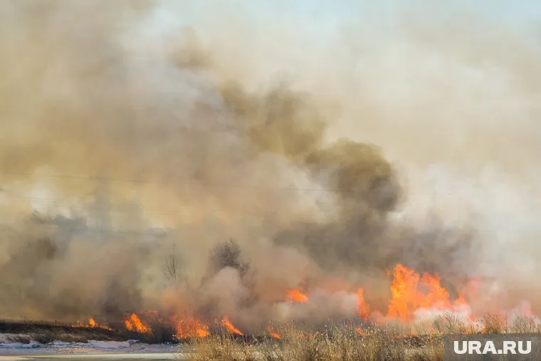 Зарядное устройство для смартфона стало причиной пожара в челябинской здравнице