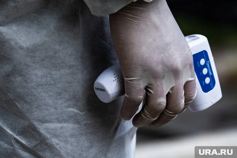 У школьников начали измерять температуру (архивное фото)