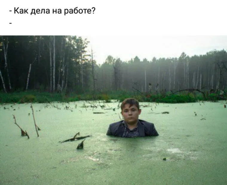 alt-text