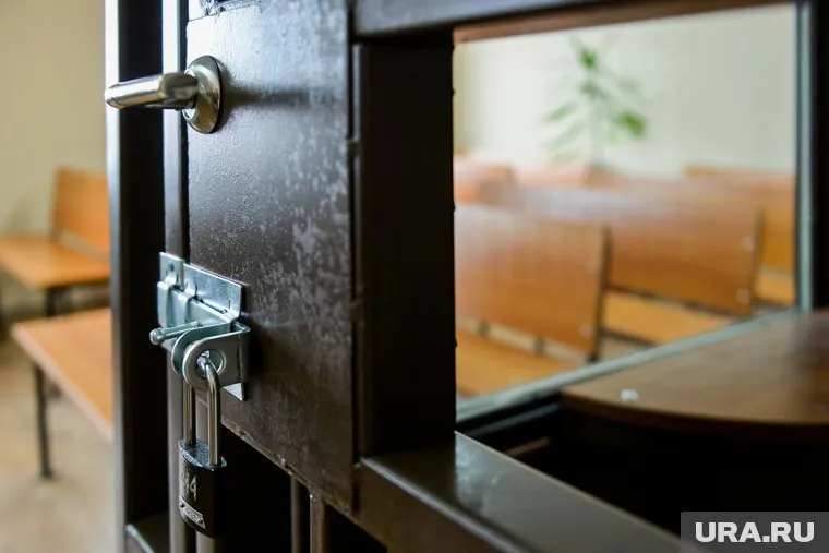 Александр Ким арестован судом на два месяца