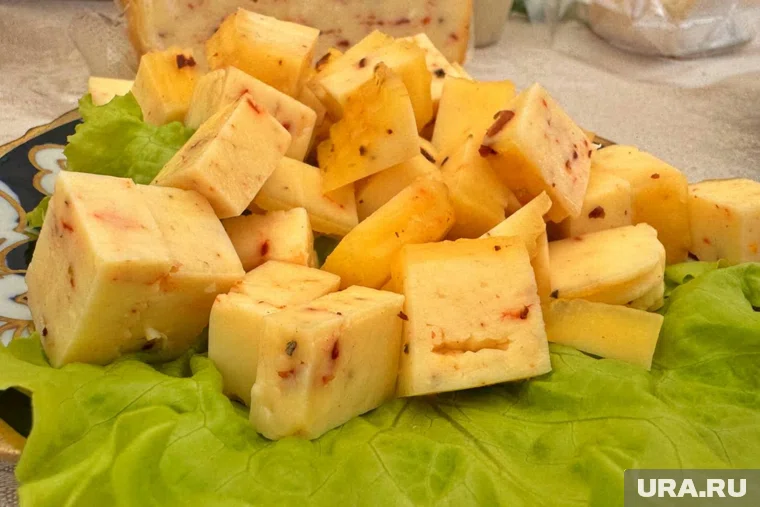 Сыроварня успешно работает в Курганской области