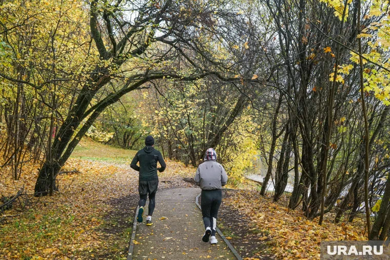 Во время ежедневной процедуры мужчина наткнулся на труп (архивное фото)