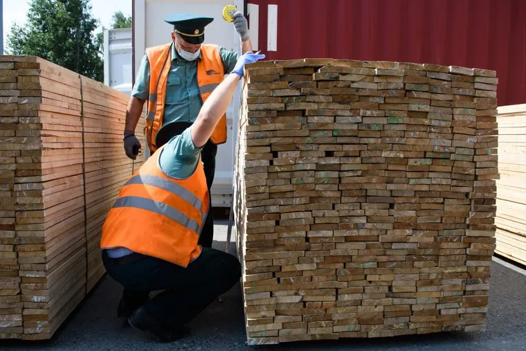 Досмотр пиломатериалов на таможенном контроле. Екатеринбург