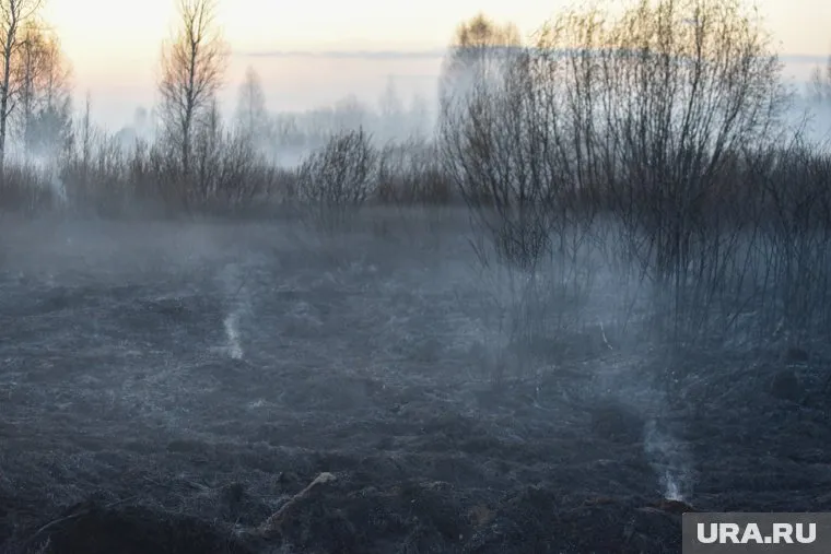 Дым от пожаров в соседних регионах добрался до ЯНАО
