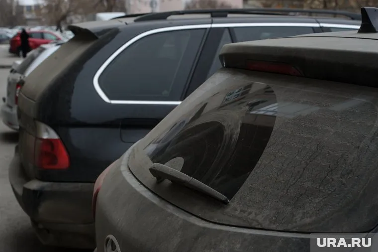 Жителей насторожила столь обильная пыльца на машинах (архивное фото)