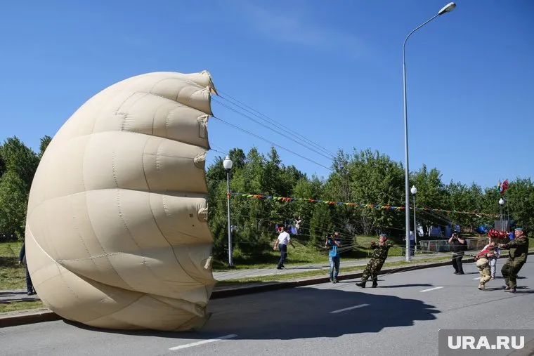 В Польше десантники из-за ветра приземлились на линии ЛЭП (фото из архива)