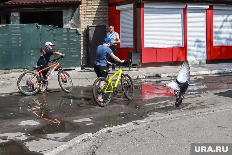 Мальчик рассказал, что узнал про «Точку-У» из новостей