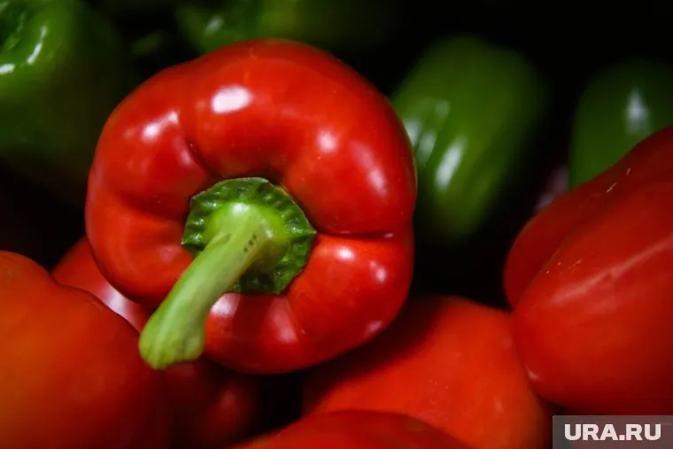 Зараженную продукцию уничтожили