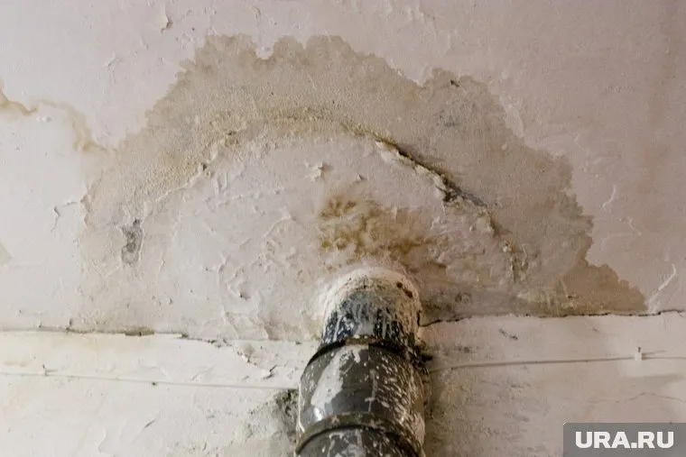 Житель поселка Сеяха Ямальского района пожаловался на протечку с потолка