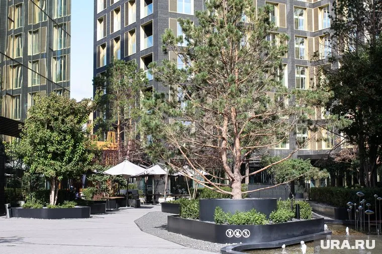 Самое дорогое жилье продают в историческом центре Тюмени