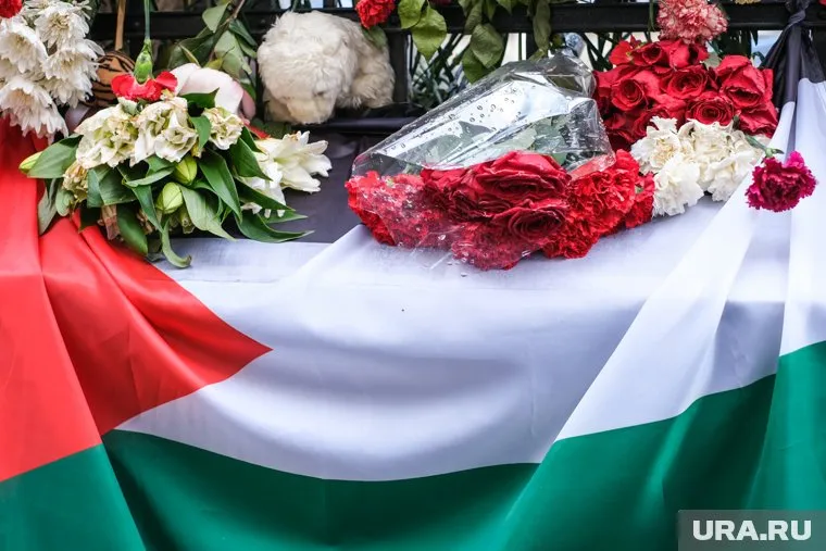 Признание Палестины является ключем к разрешению конфликта на Ближнем Востоке, заявил Йонас Гар Стере