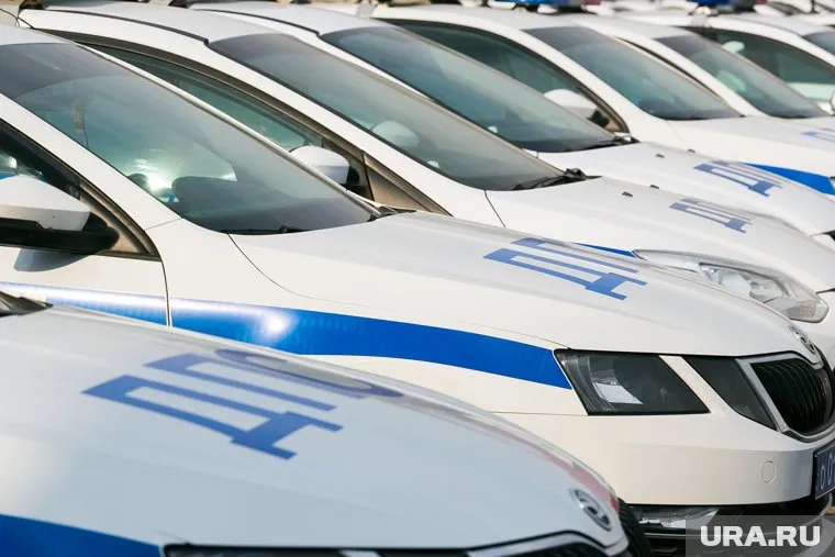 Рейды намечены на выходные