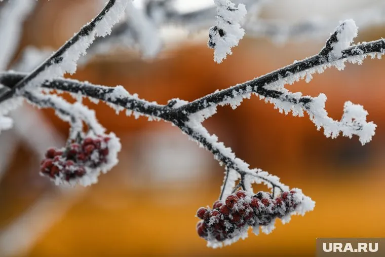 В ХМАО придут зимние холода на следующей неделе