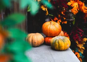 В Пермском крае ожидается аномально теплая погода