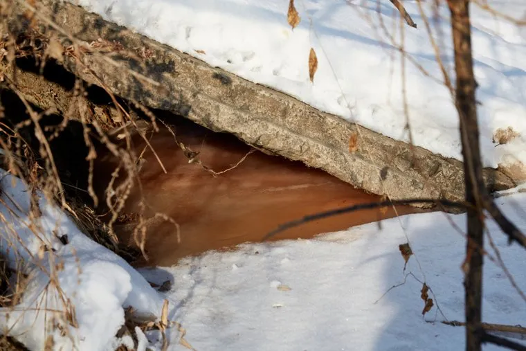Последствия предполагаемого выброса химикатов в реку Молчанку. Деревня Молчаново. Тюменский район