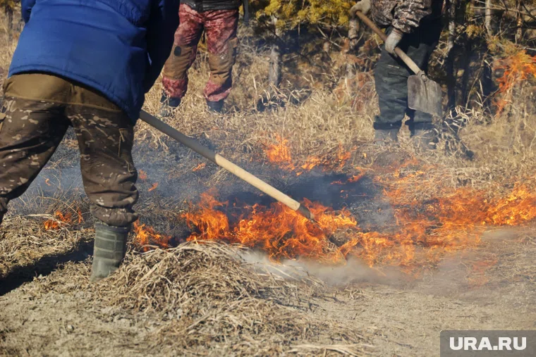 Шесть микрорайонов Кургана охватят контролируемые отжиги