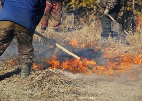 В Кургане начали контролируемые отжиги для профилактики пожаров