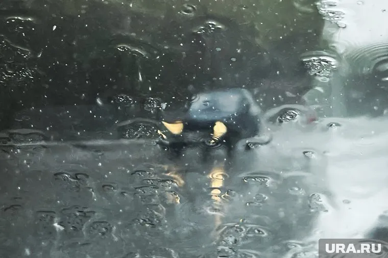 Метеорологи предупредили о локальных ливнях