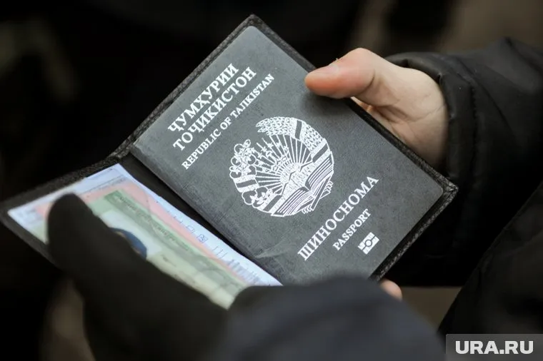 Данный показатель втрое меньше по сравнению с аналогичным периодом 2024 года