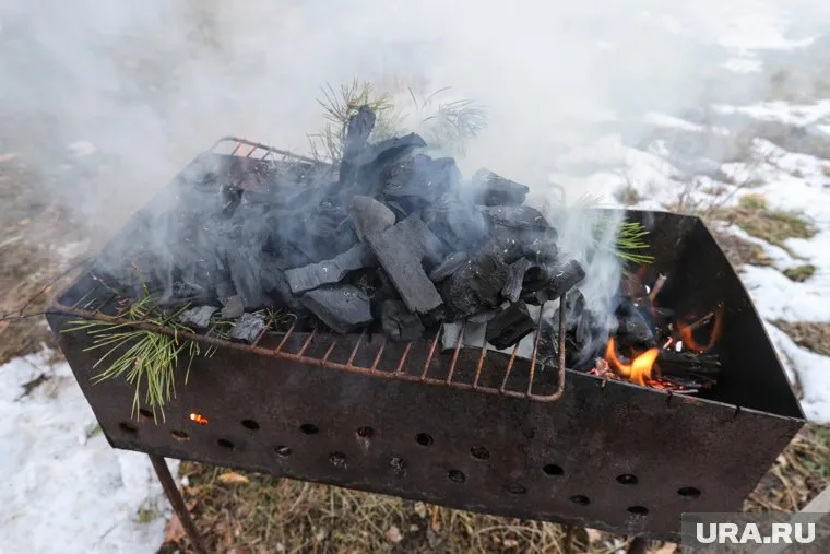 Запрет на продажу горючих веществ, в том числе угля, будет действовать до 30 мая